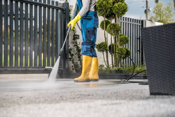 Best Fence Cleaning  in Forestde, AL