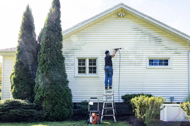 Best House Exterior Washing  in Forestde, AL